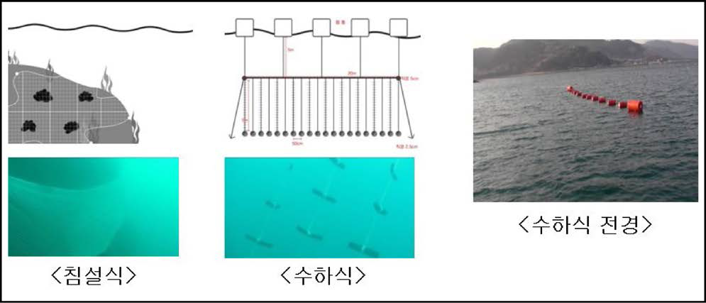 자연채묘를 위한 수하식과 침설식 채묘시설 설치