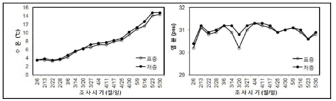 서해안(군산) 채묘예정지의 참담치 부유유생 조사시 측정한 수온과 염분 변화