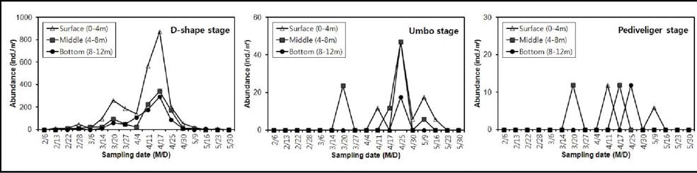서해안(군산) 채묘예정지에서 참담치 부유유생의 단계별 수층별 출현량
