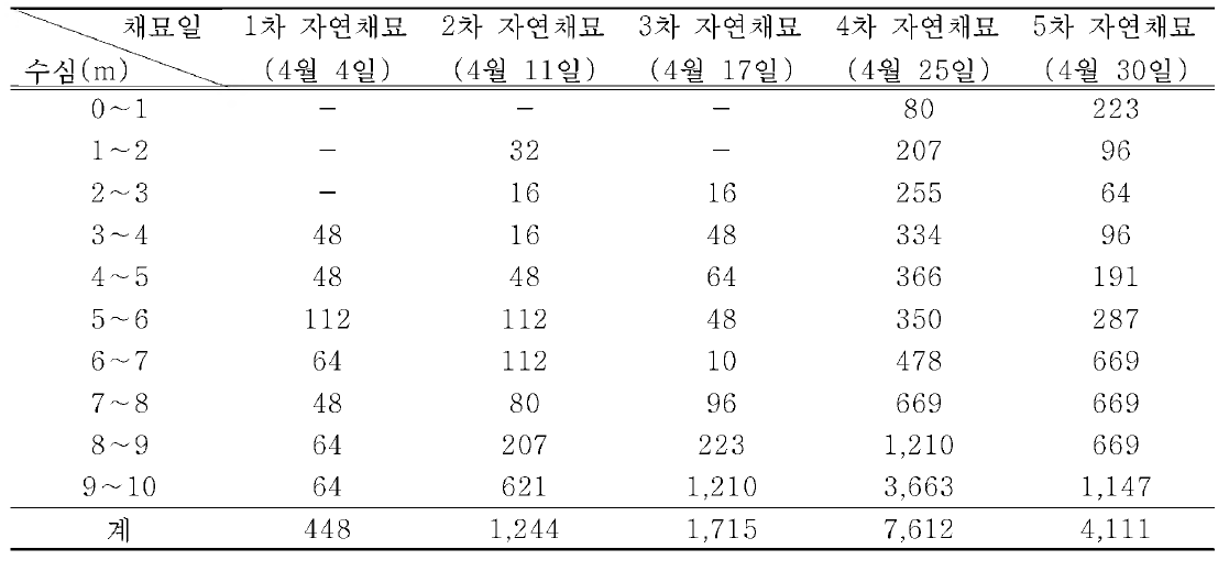 군산 해역의 자연채묘 방법에 따른 참담치 치패