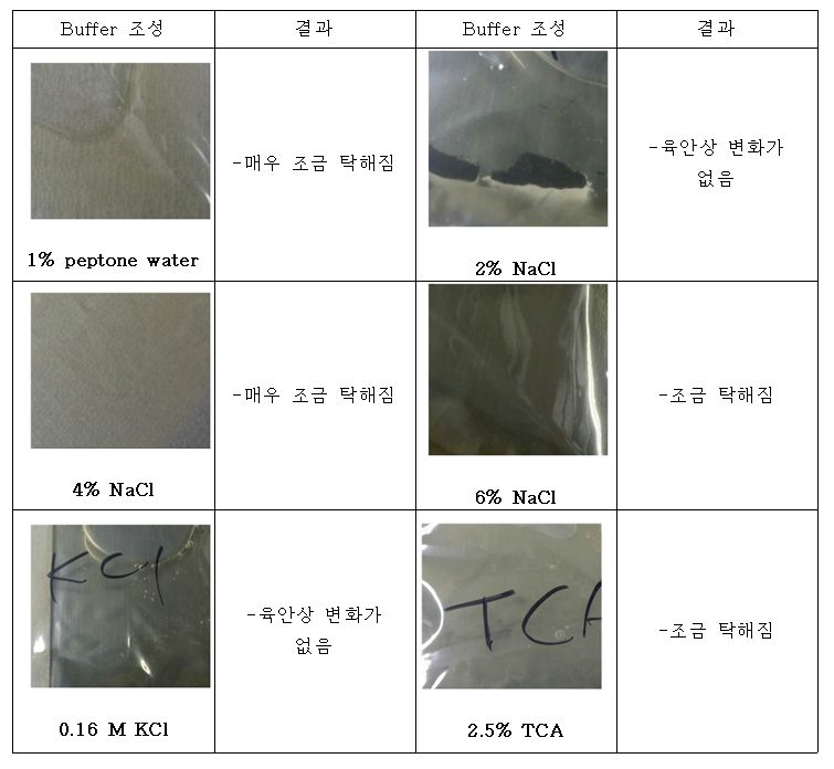 Buffer 조성에 따른 혼탁도 비교