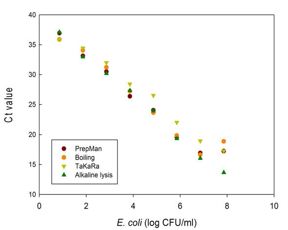 E. coli에서 각 DNA 추출 방법을 통해 real-time PCR을 수행한 결과