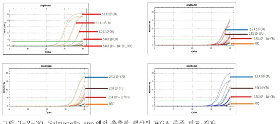 Salmonella spp.에서 추출한 핵산의 WGA 증폭 비교 결과