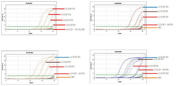 Enhanced WGA를 이용한 Salmonella spp. 검출 한계 확인 결과