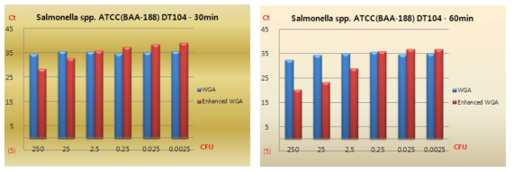 Salmonella spp. ATCC(BAA-188) DT104 균주에서 추출한 핵산을 30분, 60분을 WGA와 enhanced WGA를 진행하여 나타난 Ct값의 수치 변화 결과