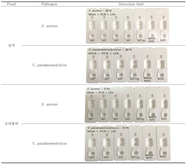 Filtration 전 WGA와 PCR, LFA를 수행한 뒤 S. aureus와 V. parahaemolyticus의 detection limit