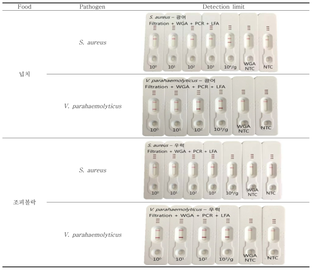 Filtration 후 WGA와 PCR, LFA를 수행한 뒤 S. aureus와 V. parahaemolyticus의 detection limit