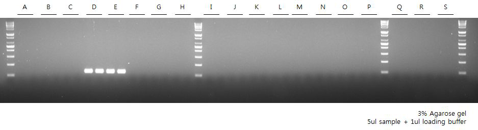 Listeria monocytogenes cross reactivity test