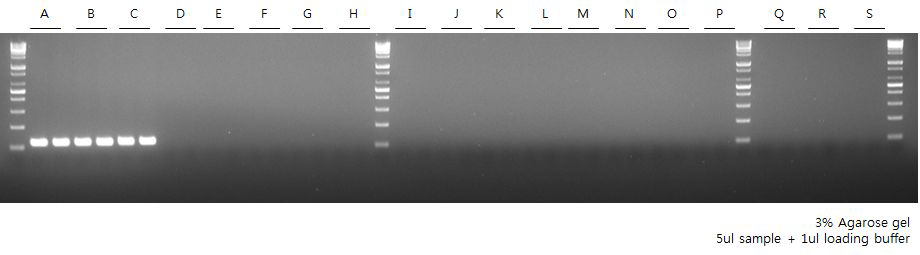 S. aureus cross reactivity test