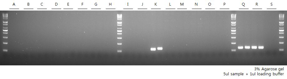 Vibrio parahaemolyticus cross reactivity test