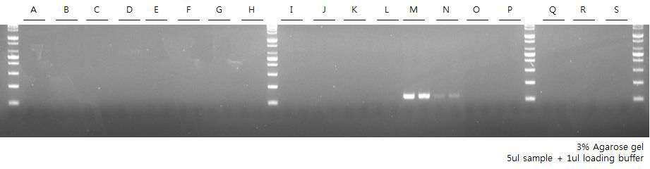 Cross reactivity test - Vibrio fluvialis, V.flu-rpoB primer set