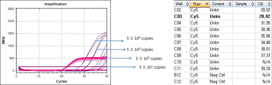 Real-time PCR results. Screening kit. Set.A - template LOD. Salmonella enterica typhimurium control plasmid