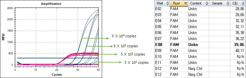 Real-time PCR results. Screening kit. Set.B - template LOD. Listeri monocytogenes control plasmid