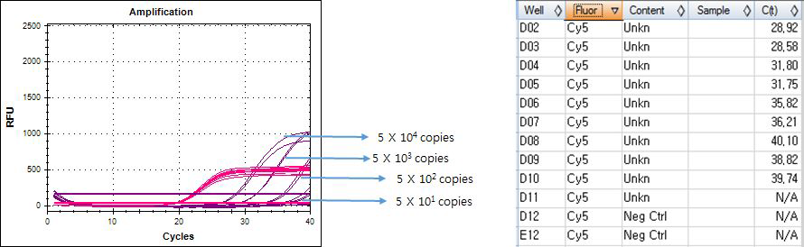 Real-time PCR results. Screening kit. Set.B - template LOD. Stapylococus aureus control plasmid