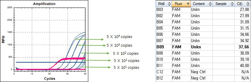 Real-time PCR results. Confirm kit for Vibrio species. Set.A - template LOD. Vibrio parahaemolyticus control plasmid