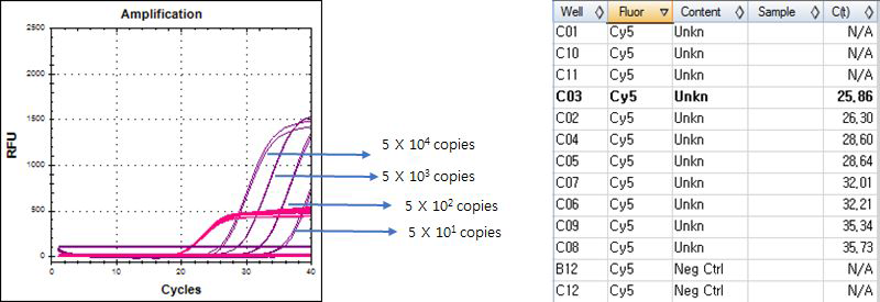 Real-time PCR results. Confirm kit for Vibrio species. Set.A - template LOD. Vibrio fluvialis control plasmid