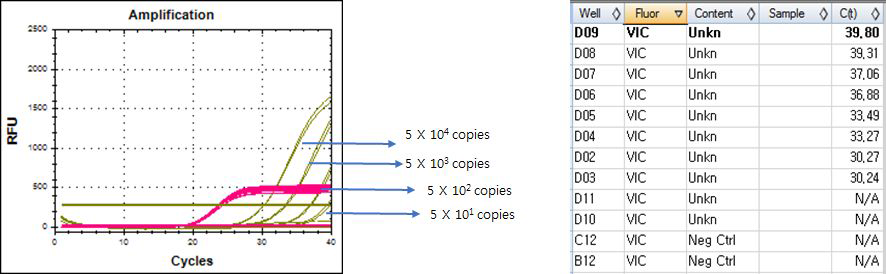 Real-time PCR results. Confirm kit for Vibrio species. Set.A - template LOD. Vibrio metschnikovii control plasmid