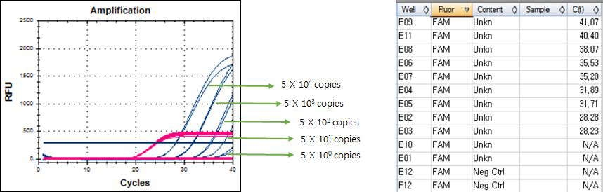 Real-time PCR results. Confirm kit for Vibrio species. Set.B - template LOD. Vibrio vulnificus control plasmid