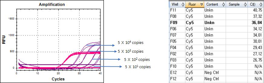 Real-time PCR results. Confirm kit for Vibrio species. Set.B - template LOD. Vibrio mimicus control plasmid