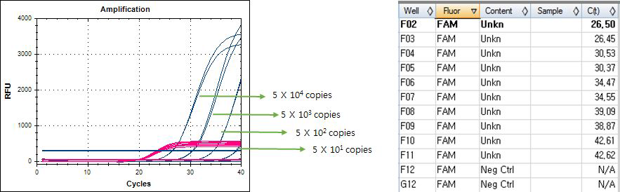 Real-time PCR results. Confirm kit for Vibrio species. Set.C - template LOD. Vibrio cholerae control plasmid