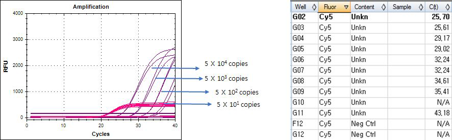 Real-time PCR results. Confirm kit for Vibrio species. Set.C - template LOD. Vibrio cholerae control plasmid