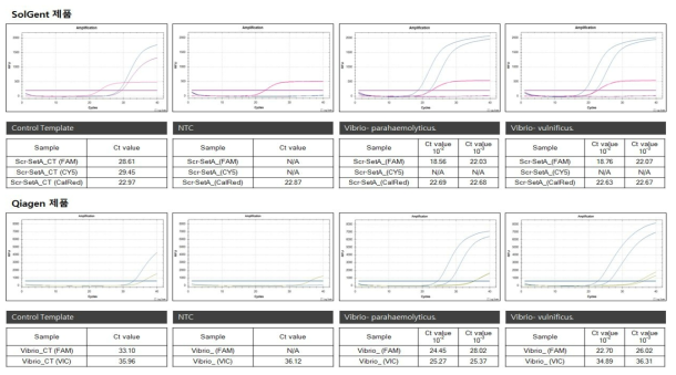 타사 제품 비교(SolGent VS Qiagen, Vibrio spp., Control template & gDNA)