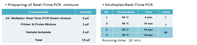 Nanobiosys G2-4 PCR mixture and PCR condition