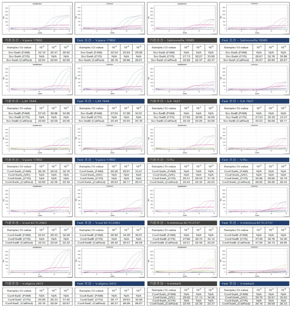 표준검체에서 추출한 DNA를 이용한 FAST PCR 결과