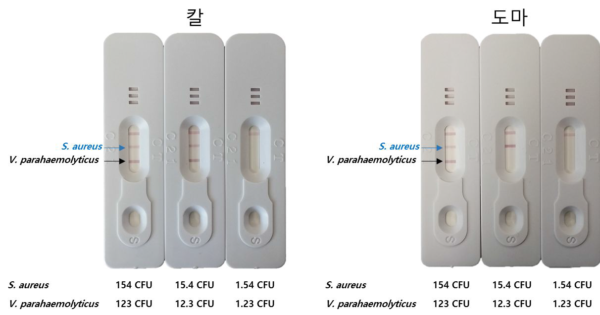 Multiplex LAMP LFA를 이용한 칼과 도마에 존재하는 식중독세균의 검출결과