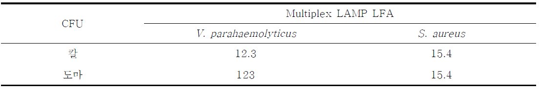 multiplex LAMP LFA를 이용한 칼, 도마에 존재하는 식중독세균의 검출결과