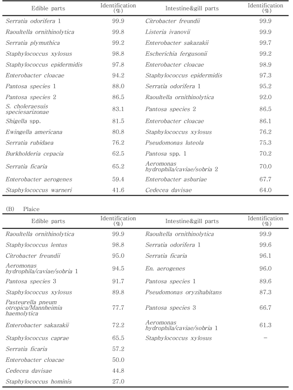 Microorganisms isolated from fish samples harvested from July to August in 2015