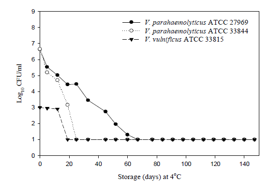 Loss of the culturability of V. parahaemolyticus ATCC 27969, V. parahaemolyticus ATCC 33844 and V. vulnificus ATCC 33815 in artificial sea water containing 0.75% NaCl at 4°C