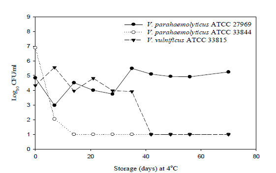Loss of the culturability of V. parahaemolyticus ATCC 27969, V. parahaemolyticus ATCC 33844 and V. vulnificus ATCC 33815 in artificial sea water supplemented with 1.0% NaCl at 4°C