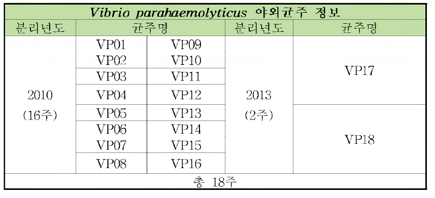 Vibrio parahaemolyticus 야외균주