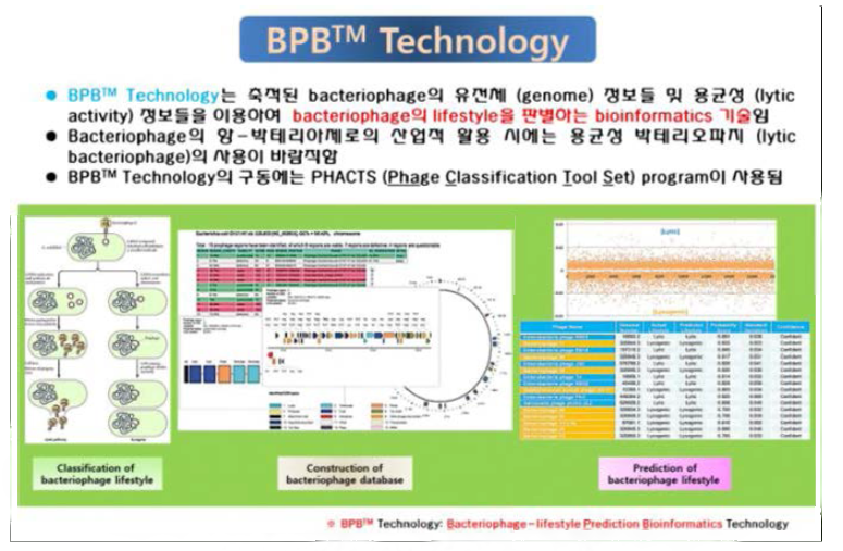 BPB Technology