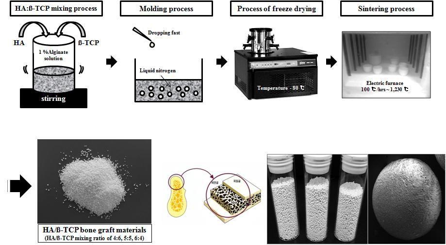 Schematic diagram to synthesize the spherical bone grafting materials with microporous structure at both its inner part and surface