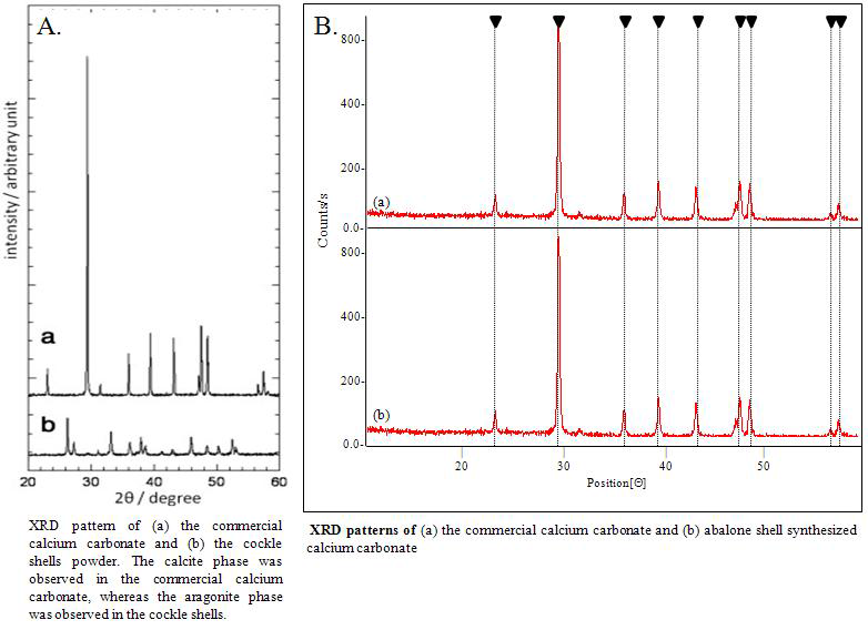 일반패각 및 전복패각으로부터 합성된 탄산칼슘에 대한 XRD 분석