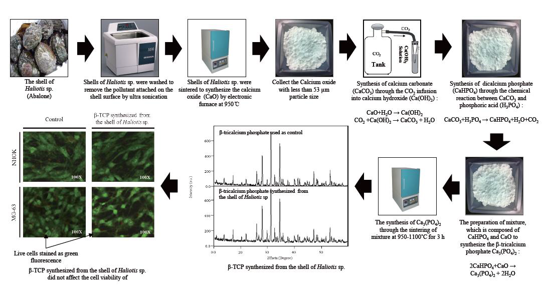 The schematic diagram to synthesize the bio-ceramics from Abalone shell