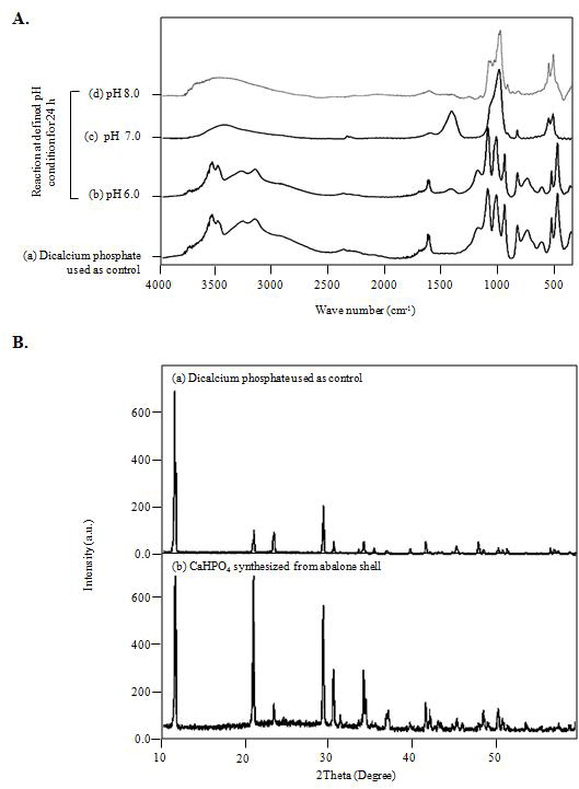 The synthesis of CaHPO by the chemical reaction between abalone shell-derived 4 CaCO3 and phosphoricacid