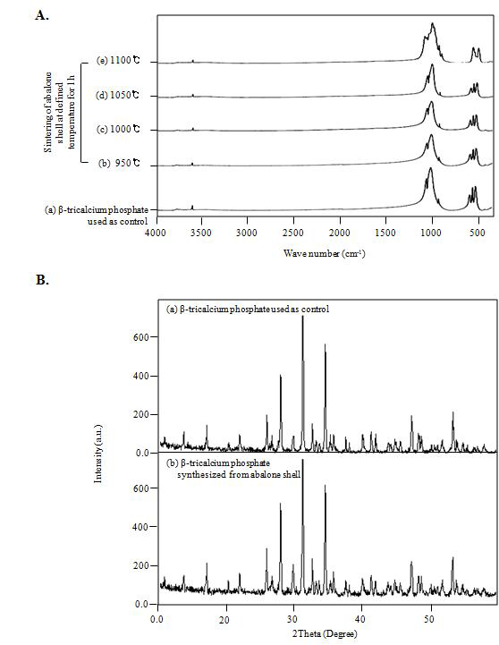 The synthesis of β-TCP by the chemical reaction between abalone shell-derived CaHPO4 and CaO