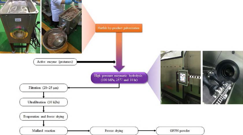 Mass production process for glycated flatfish protein hydrolysate