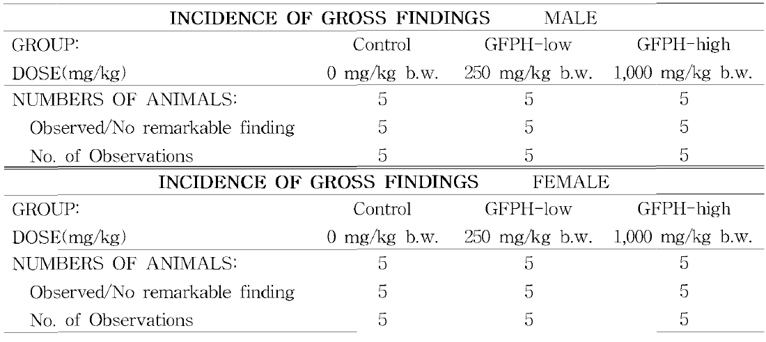 Gross Findings of Rats