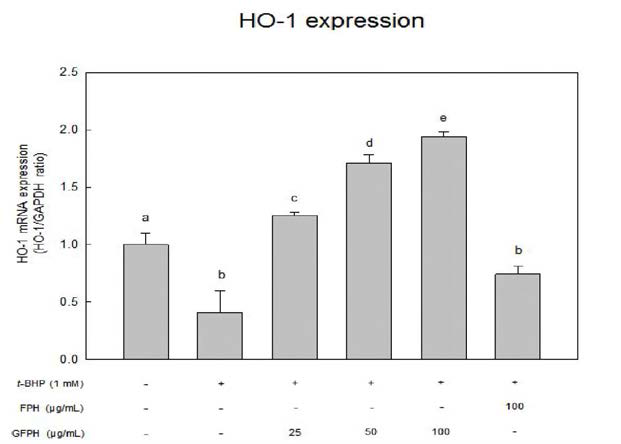Effect of FPH and GFPH on HO-1 mRNA expression (qPCR) in HepG2 cells