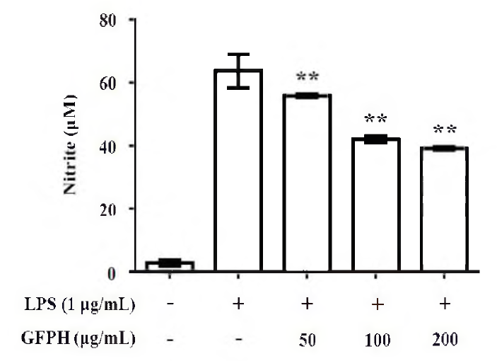 Effect of GFPH on NO synthesis in RAW 264.7 cells