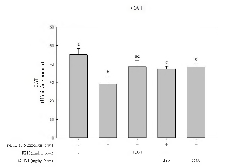 CAT activity in S.D. rats treated with FPH and GFPH