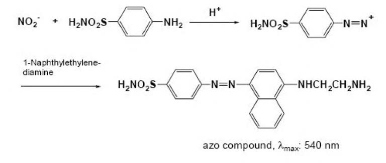 Principle of nitric oxide (NO) assay