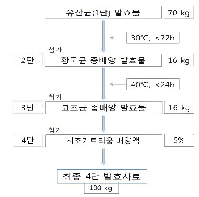 확대배양을 통한 4단 발효 사료 제조 공정 모식도