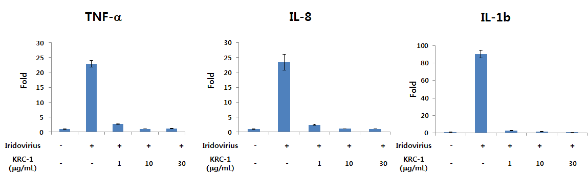 KRC-1 추출물의 이리도바이러스에 유도된 염증성 사이토카인 억제 효능