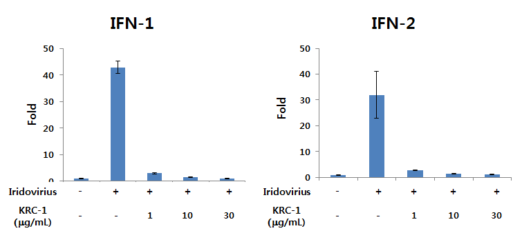 KRC-1 추출물의 이리도바이러스 감염에 의해 유도된 인터페론 억제 효능