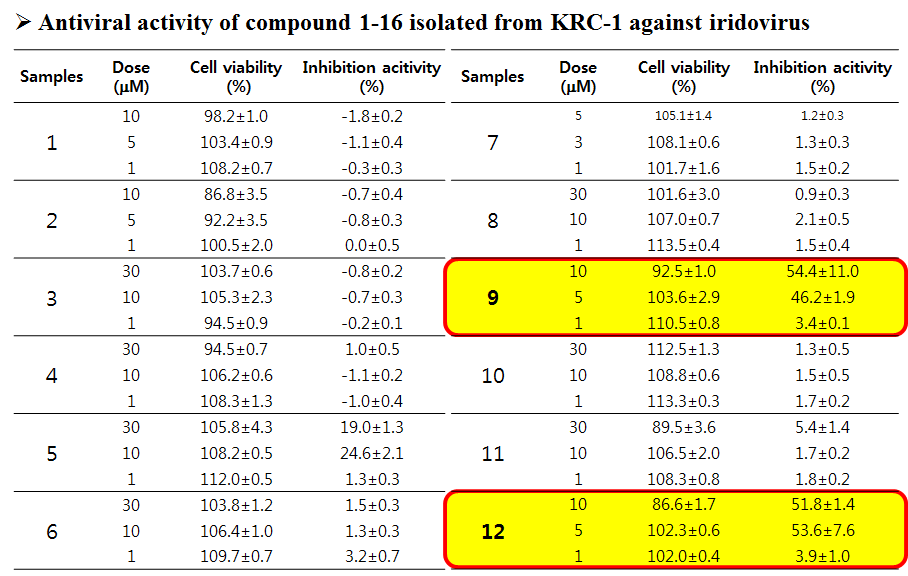 KRC-1 추출물에서 분리한 화합물 1-12의 항바이러스 활성평가